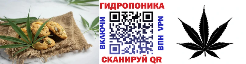 Canna-Cookies конопля кракен вход Мамадыш