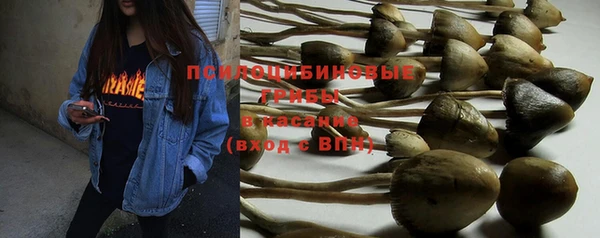 мет Абинск