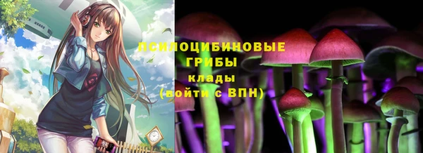 ПСИЛОЦИБИНОВЫЕ ГРИБЫ Алексин
