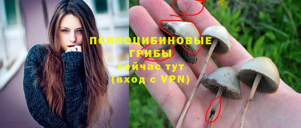mdpv Абдулино