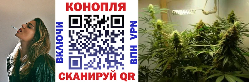 что такое   Мамадыш  Каннабис план 